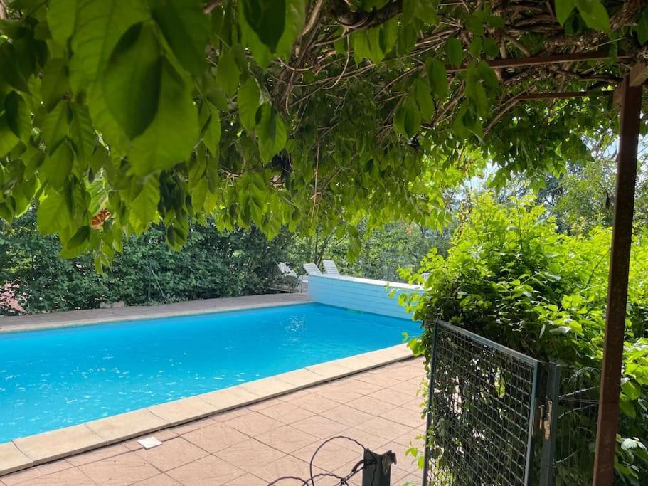 Marguerite Jardin Piscine Chauffee Gap