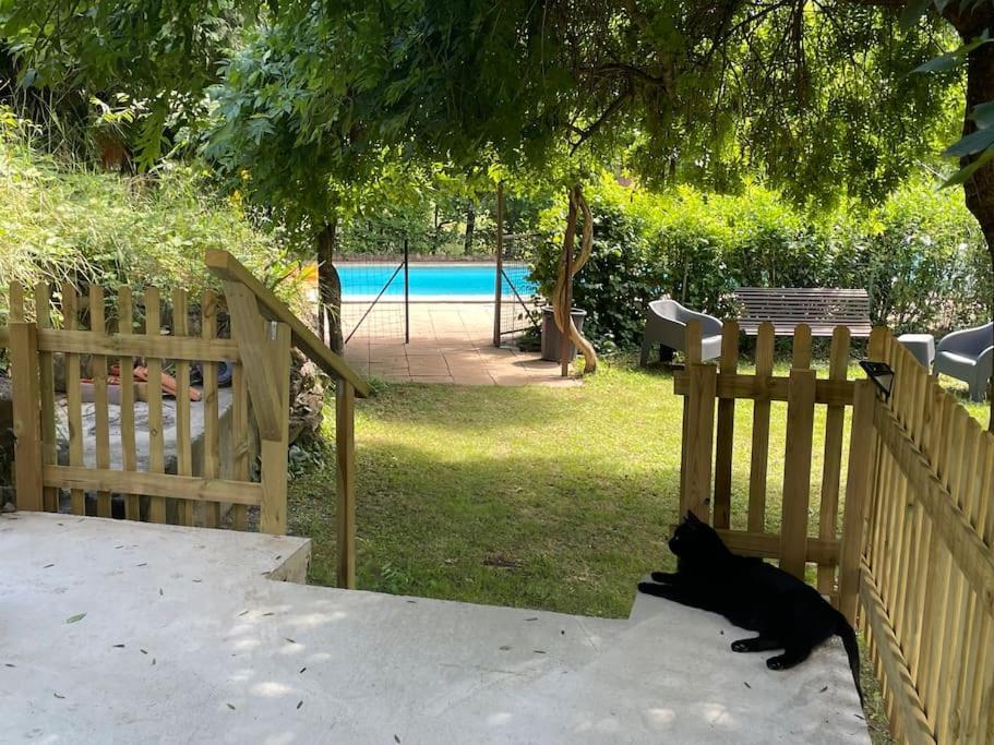 Marguerite Jardin Piscine Chauffee * Gap
