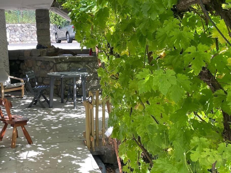 Appartement Marguerite Jardin Piscine Chauffee Gap